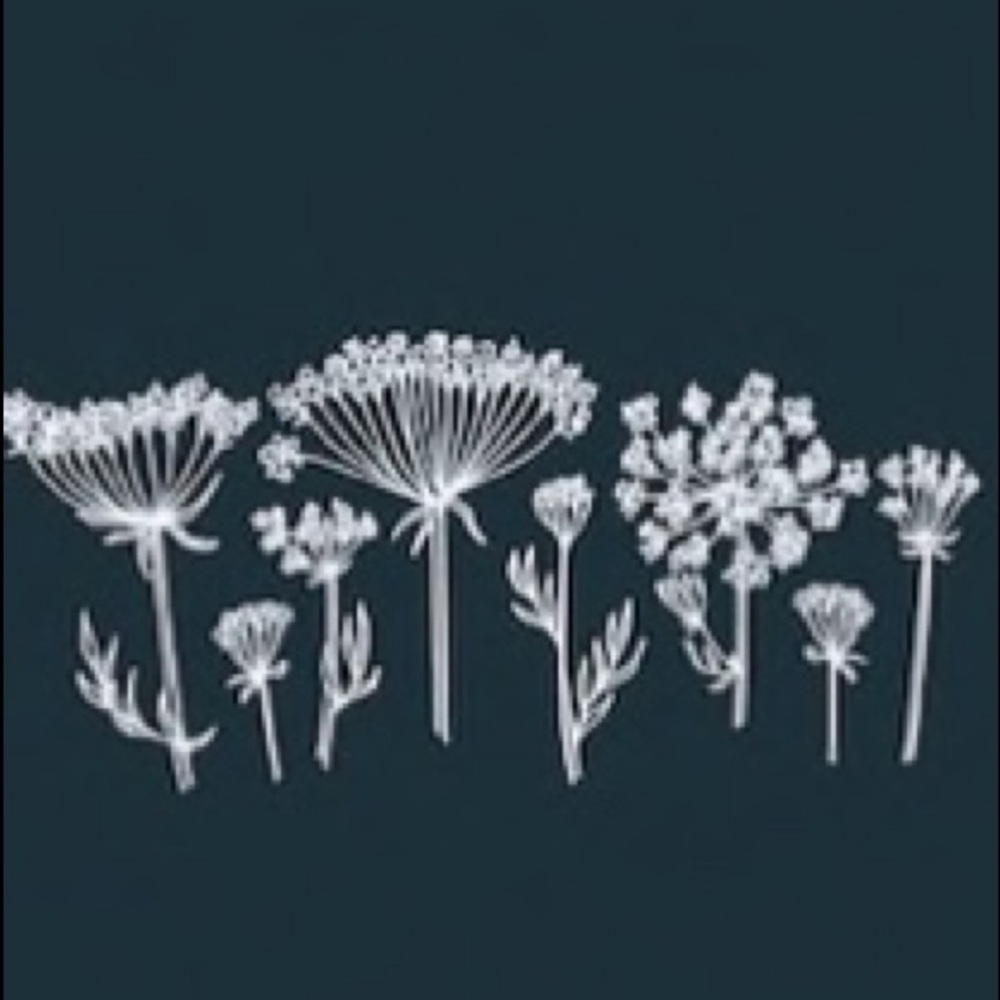 Meet your Posher, Jodie